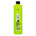 L'Oreal Professionnel Inoa ODS Oxydant Riche 20 vol 6% for Even Colour & Grey Coverage Professional Hair Colouring 1000ml/33.