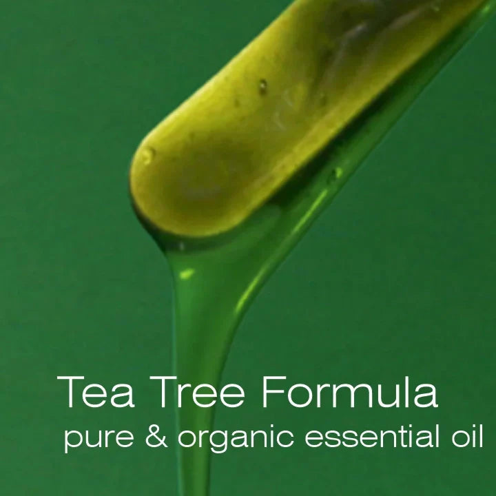 Hive Tea Tree Creme Wax 15 oz